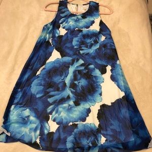 CLOSET CLEANOUT‼️Blue and white floral dress